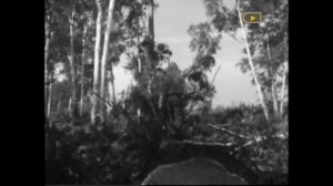 Иосиф Кабзон и Академический Большой концертный оркестр им. Силантьева