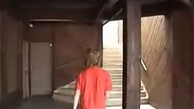 Panasonic DMC-FZ8 Digital Camera смотреть онлайн