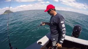 Tauranga fishing trip