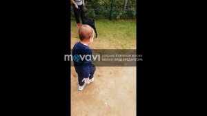 Ярославский зоопарк 2020