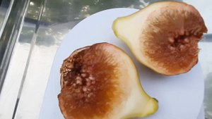 Инжир Магарачский. Бреба.