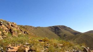 Восхождение на г. Серебряная. Алтайская бухта. Бухтарма