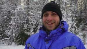 Новогодняя елка из леса - ЛЕГАЛЬНО! И как мы ее из леса добывали.