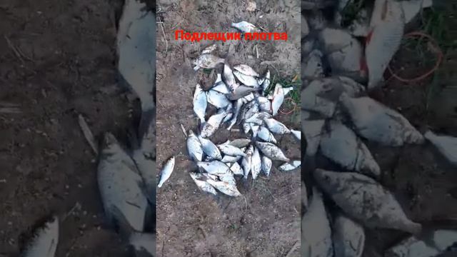 рыбалка на вилейском водохранилище