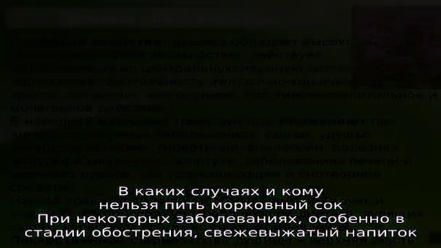 Для зрения и не только — сок из моркови, полезные свойства и противопоказания смотреть онлайн