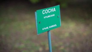 ПРОКурск - Выпуск 3. ЖЕЛЕЗНОГОРСК