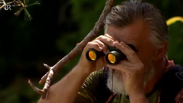 Совы Гарри Поттера 2014 смотреть онлайн