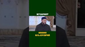Музарет