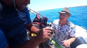 Морская рыбалка на Красном море. Отдых в Египте. В поисках большой рыбы на Красном море.