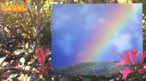 Поздравление с Юбилеем на 65 лет