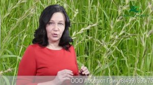 Что такое газон?