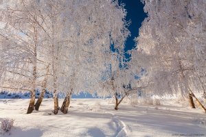 ЗИМНЯЯ ПРИРОДА И  КРАСИВАЯ МУЗЫКА