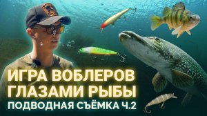 ИГРА ВОБЛЕРОВ глазами рыбы. Подводная съемка. Продолжение.