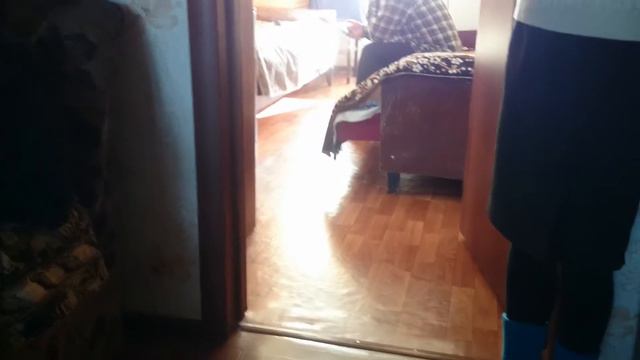 Французский бульдог Варенька в гостях у бабушки! смотреть онлайн