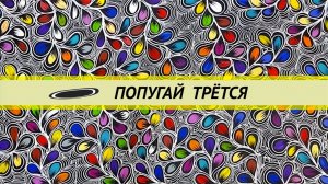 Попугай трётся об игрушку, кормит зеркало. Половое поведение попугая.  Нужна ли самка.