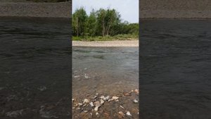 Сплав, рыбалка на реке Уссури ч.5