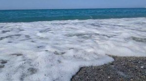 МОРЕ И ЛЕТО