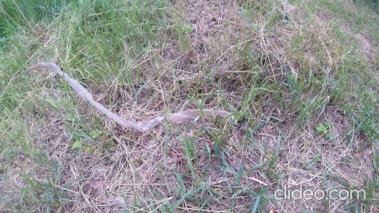 Салон одежды. смотреть онлайн