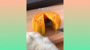 Кот кулинар готовит еду для хозяина ??