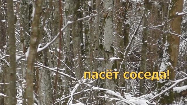 Загонная ОХОТА. СОХАТЫЙ. 4 декабря 2022г.