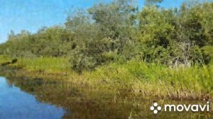 Ладога 2019. Д. Загубье. Новоладожский канал. Белое колено. Часть 1.