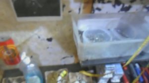 Тест ловушек от тараканов. Финал.