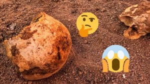 Чолпон-Ата Ч.1. Куда прогуляться. Чолпон-Атинское ущелье, Bars Hotel, странные находки.