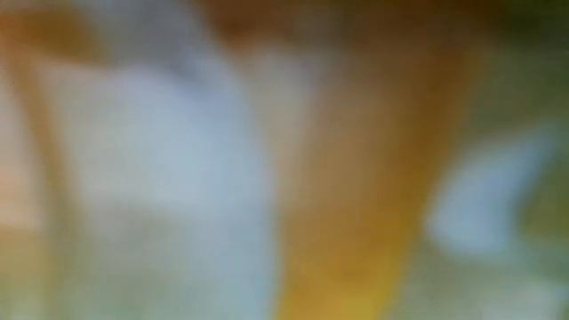 Спасибо, родная(Спасибо за день, спасибо за ночь, спасибо за сына и за дочь)наброски) смотреть онлайн