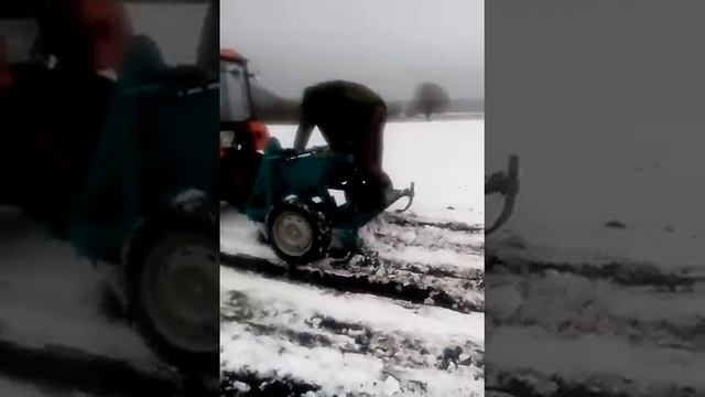 Сажаем чеснок "добрыня" смотреть онлайн