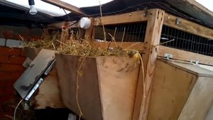 Зимнее укрытие для кроликов на улице ч 1