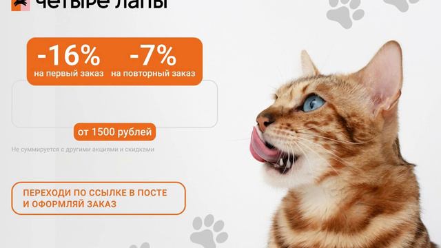 Чтобы Был В Восторге Кот – Ловите Промокод!