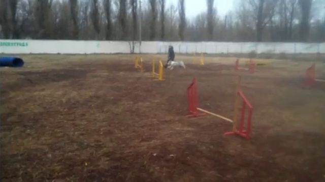 Ольга Исаева и АУСИ Флая смотреть онлайн