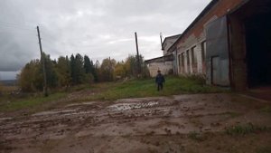 пневмоколесный экскаватор ЕК 14 ТВЭКС