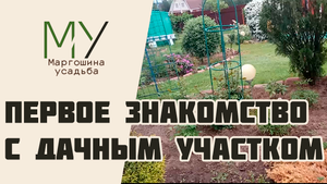 Первое знакомство с дачным участком
