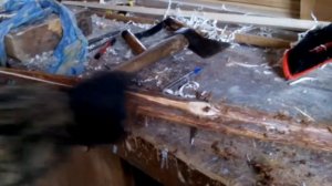 КАК СДЕЛАТЬ ЛУК ИЗ МОЖЖЕВЕЛЬНИКА