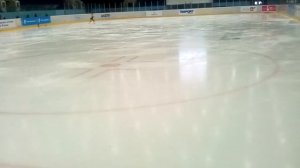 Первенство россии по фигурному катанию казань дворец спорта