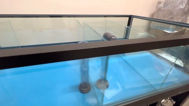 Аквариум для живых морепродуктов узв для устриц в ресторан магазин