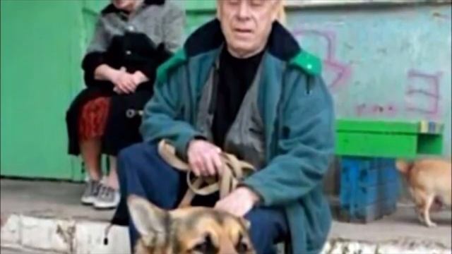 Врач увидел как по поликлинике собака с запиской в зубах. Написанное повергло его в шок! смотреть онлайн