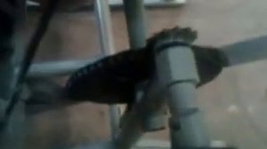 бетономешалка своими руками