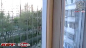 ? Защитная сетка решетка антикошка на самодельные железные балконные рамы КОТ Stop