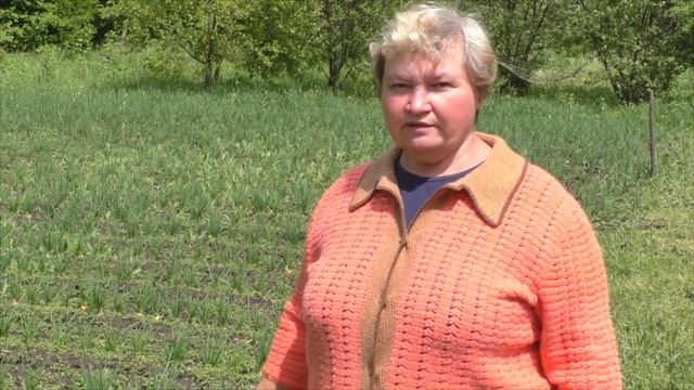 Лук Шалот, переживаем дождливое лето 2020 / Shallots, experiencing a rainy summer 2020 смотреть онлайн