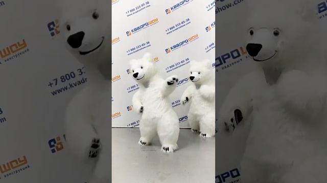Веселые белые мишки Умки. Купить надувной костюм медведя от производителя #белыймедведь #shorts