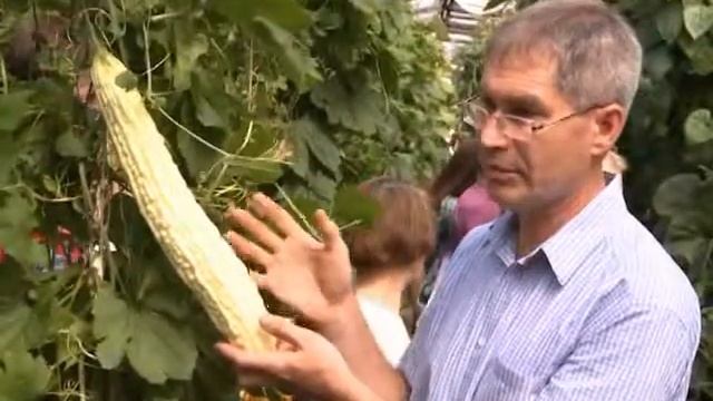 Ботанический сад СО РАН смотреть онлайн