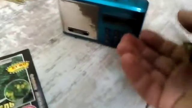 Все бабочки мира. Сокровища НебоМорья и да поможет мне - моя бабочка!