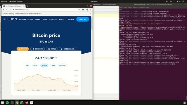 How To Fetch Crypto Prices With Python And Selenium From A Website смотреть онлайн