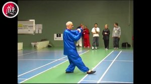 108 форм Ян ши Тайцзицюань