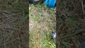 замена масла на мотоблоке,через заливную горловину