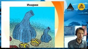 Занятие "Эдиакарий: блины, перья и лучок!" кружка "Динозавры и не только" с Ярославом Поповым