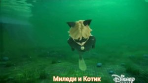 Заказной клип Леди баг и Супер кот на песню "Поболело и прошло"