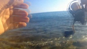 Обзор спиннинга Major Craft Benkei travel версия.